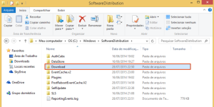 acesse-a-pasta-de-downloads-do-windows-update